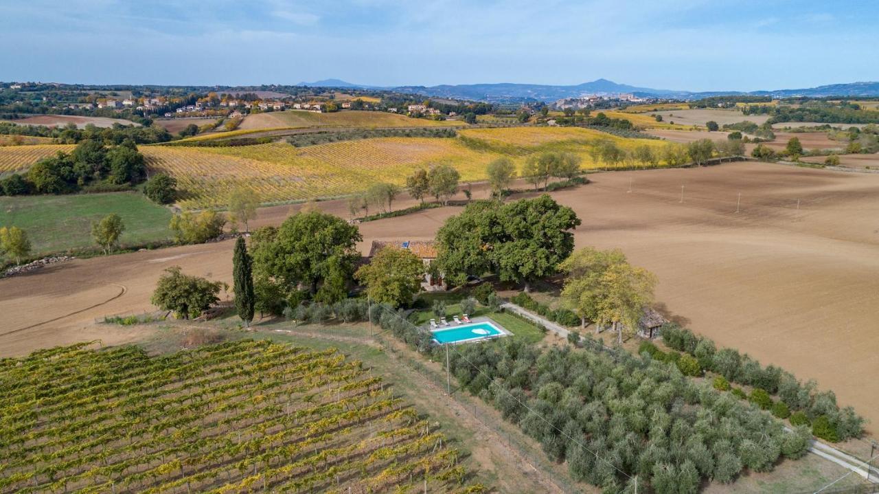 Villa Casale le Tre Querce 8&1 Orvieto Esterno foto